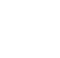 og Voice